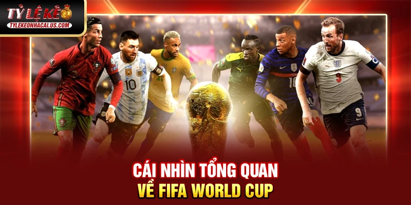 Cái nhìn tổng quan về FIFA World Cup